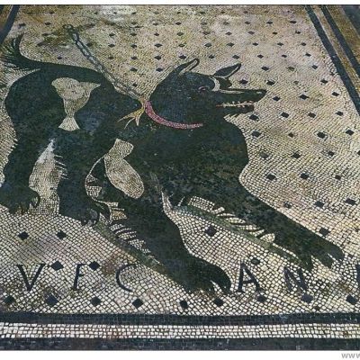 Pompei walking guided tour