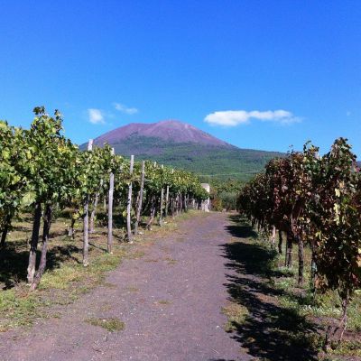 Vesuvius Wine Tasting da Pompeii